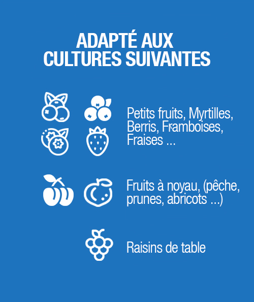 uvas11